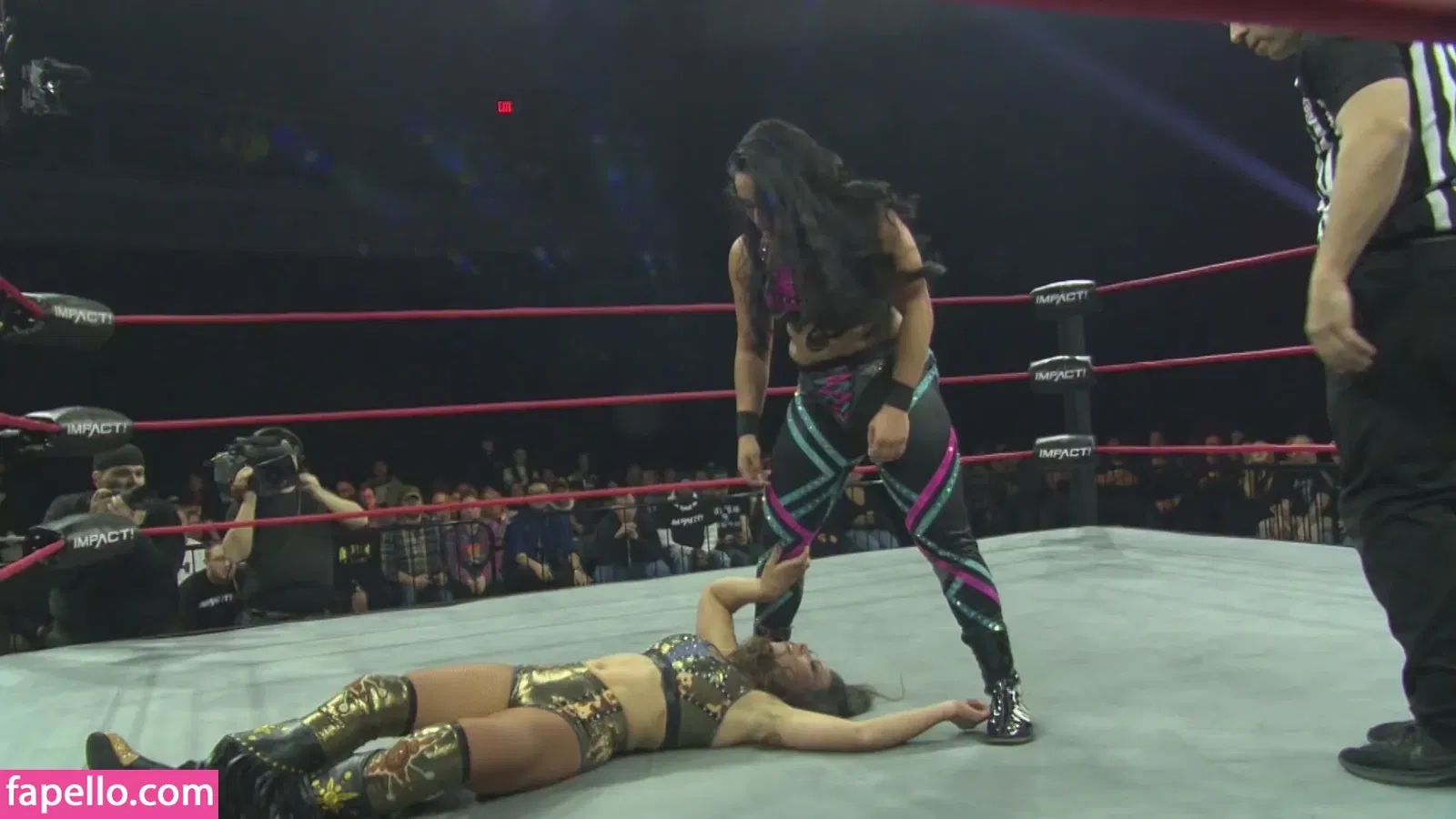 Mickie James Onlyfans Photo Gallery 