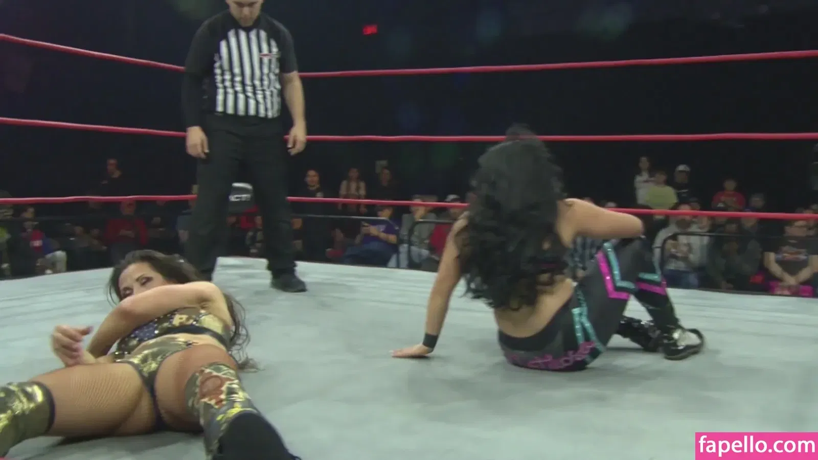 Mickie James Onlyfans Photo Gallery 