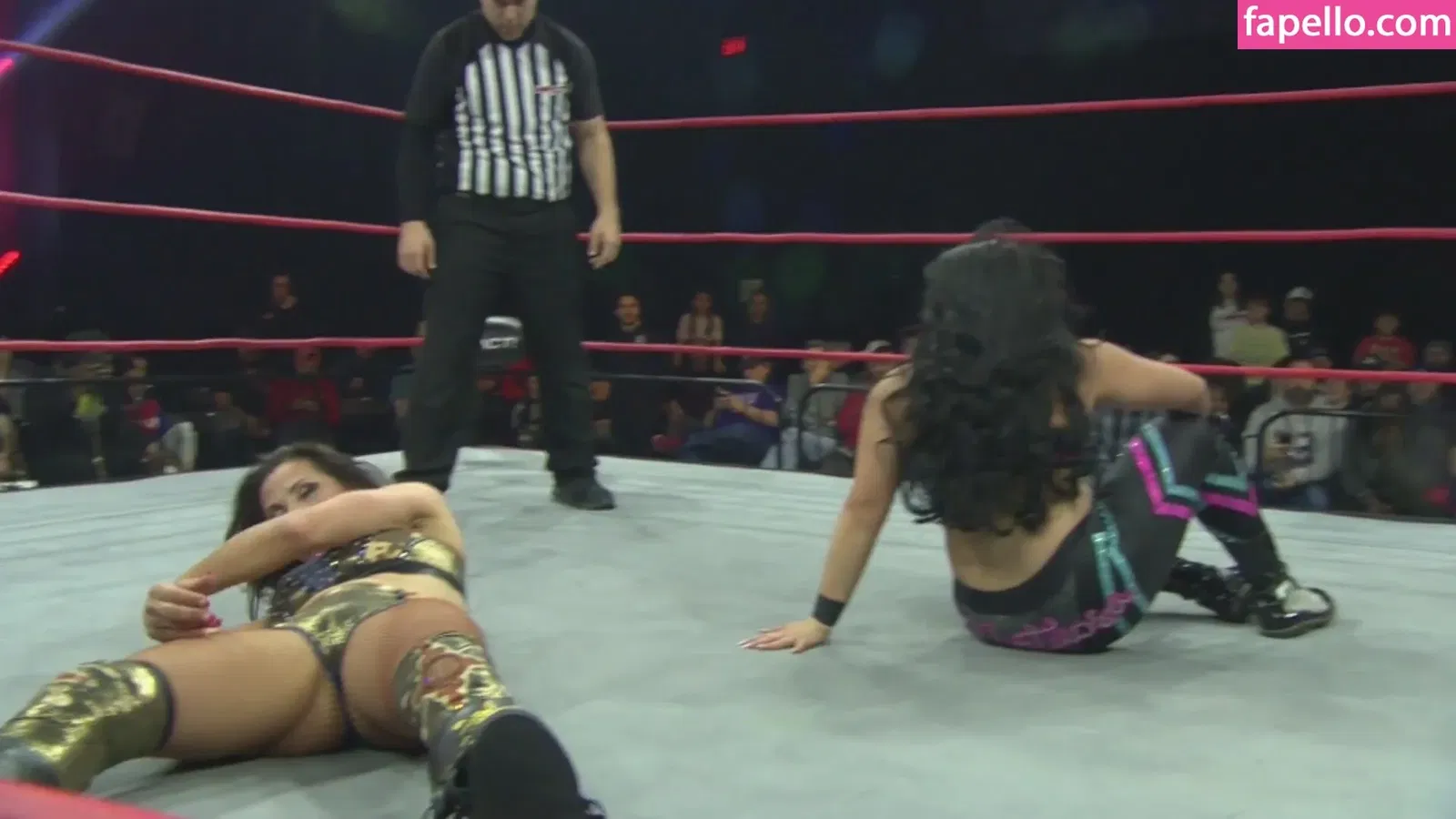 Mickie James Onlyfans Photo Gallery 