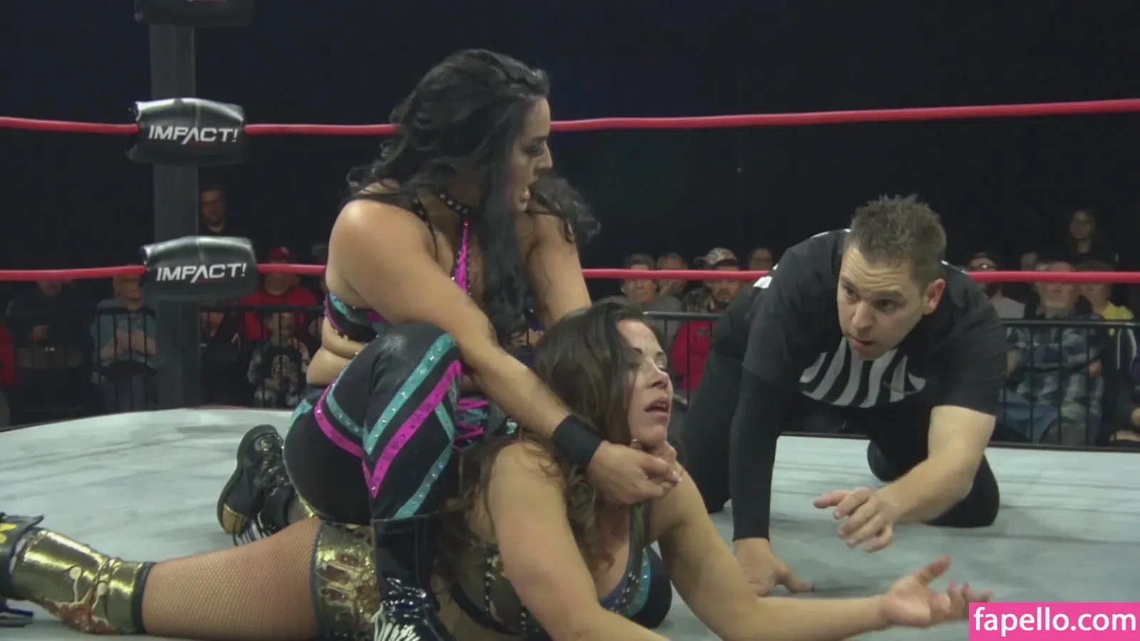 Mickie James Onlyfans Photo Gallery 