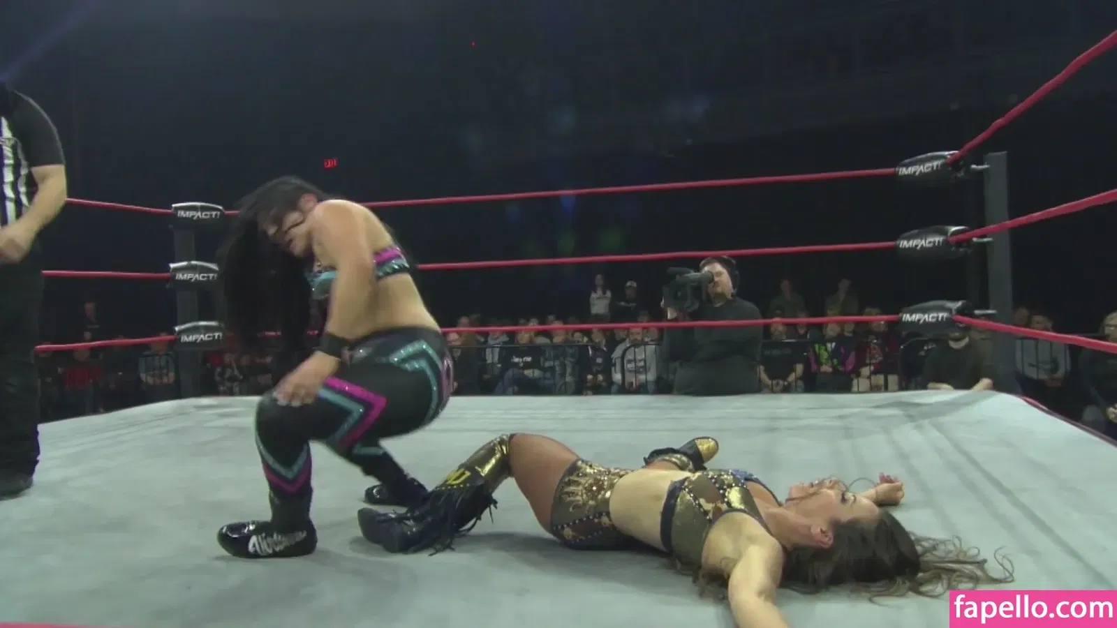 Mickie James Onlyfans Photo Gallery 