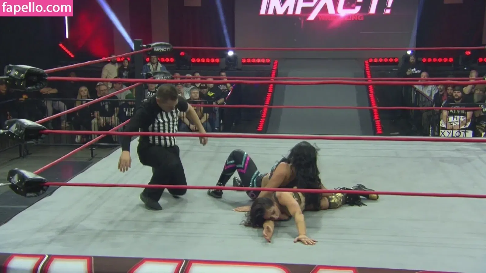 Mickie James Onlyfans Photo Gallery 