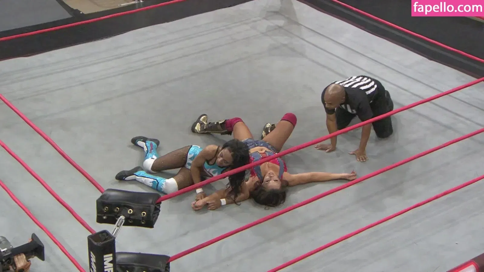 Mickie James Onlyfans Photo Gallery 