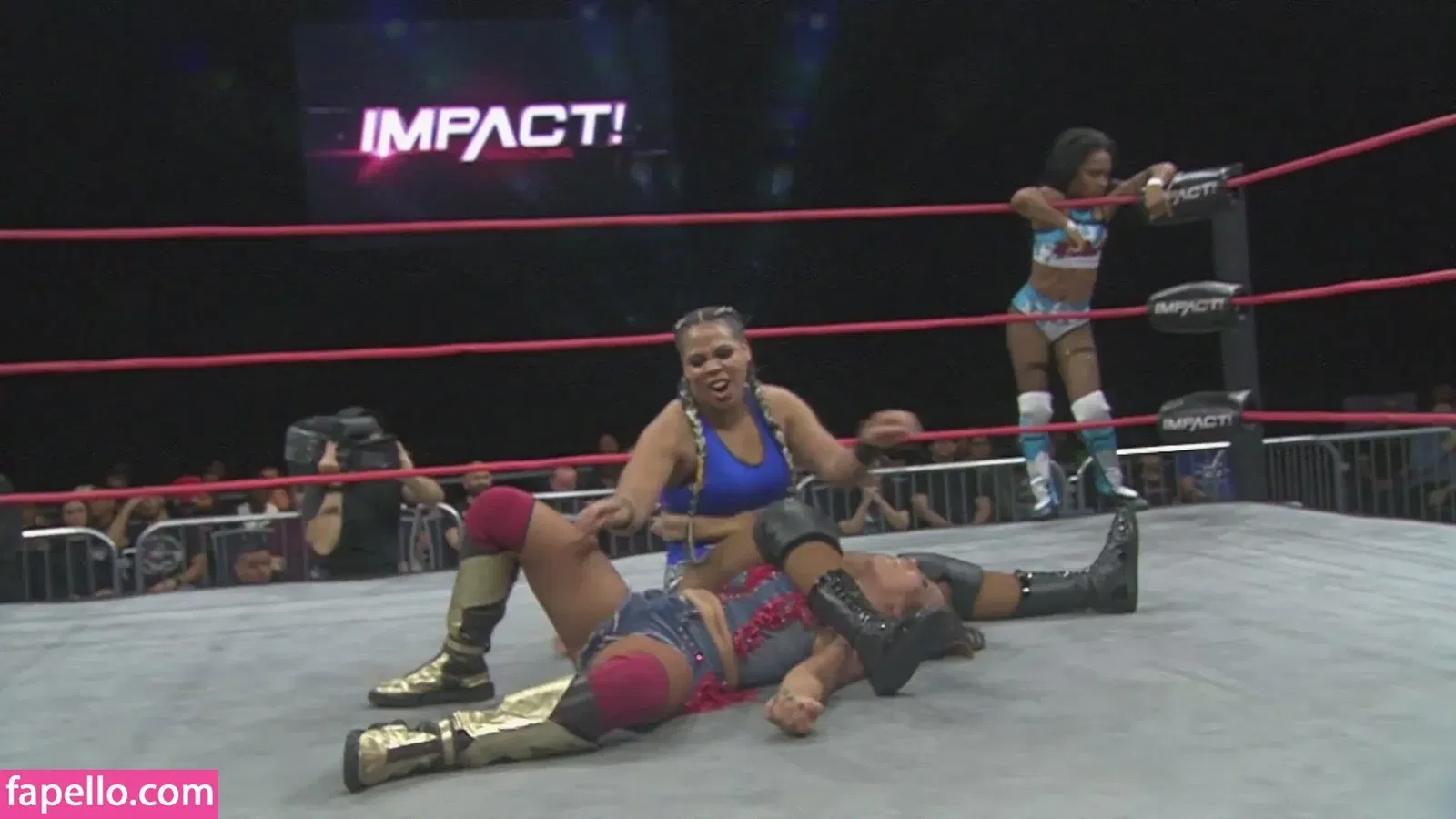 Mickie James Onlyfans Photo Gallery 