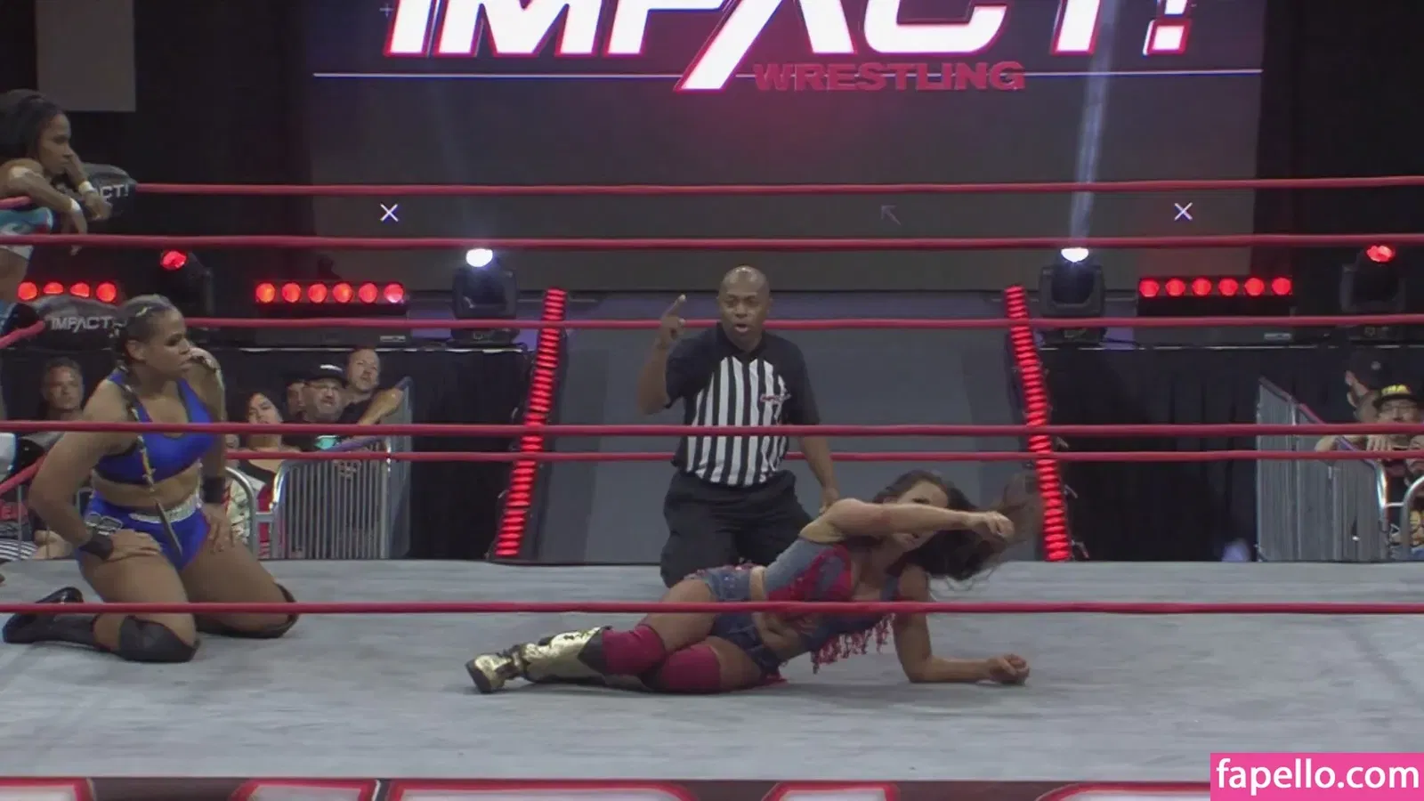 Mickie James Onlyfans Photo Gallery 