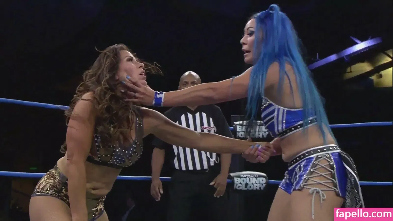 Mickie James Onlyfans Photo Gallery 