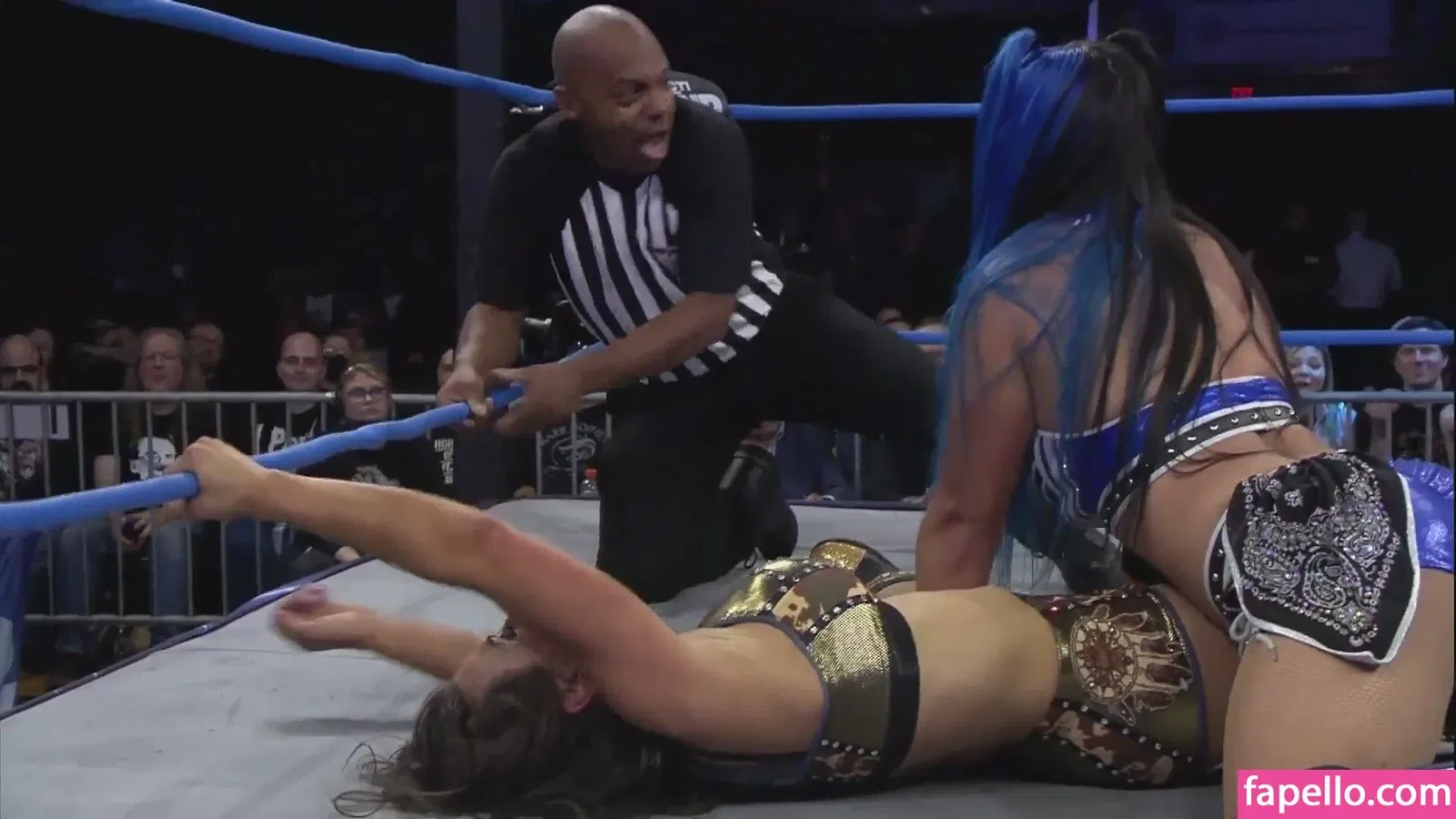 Mickie James Onlyfans Photo Gallery 