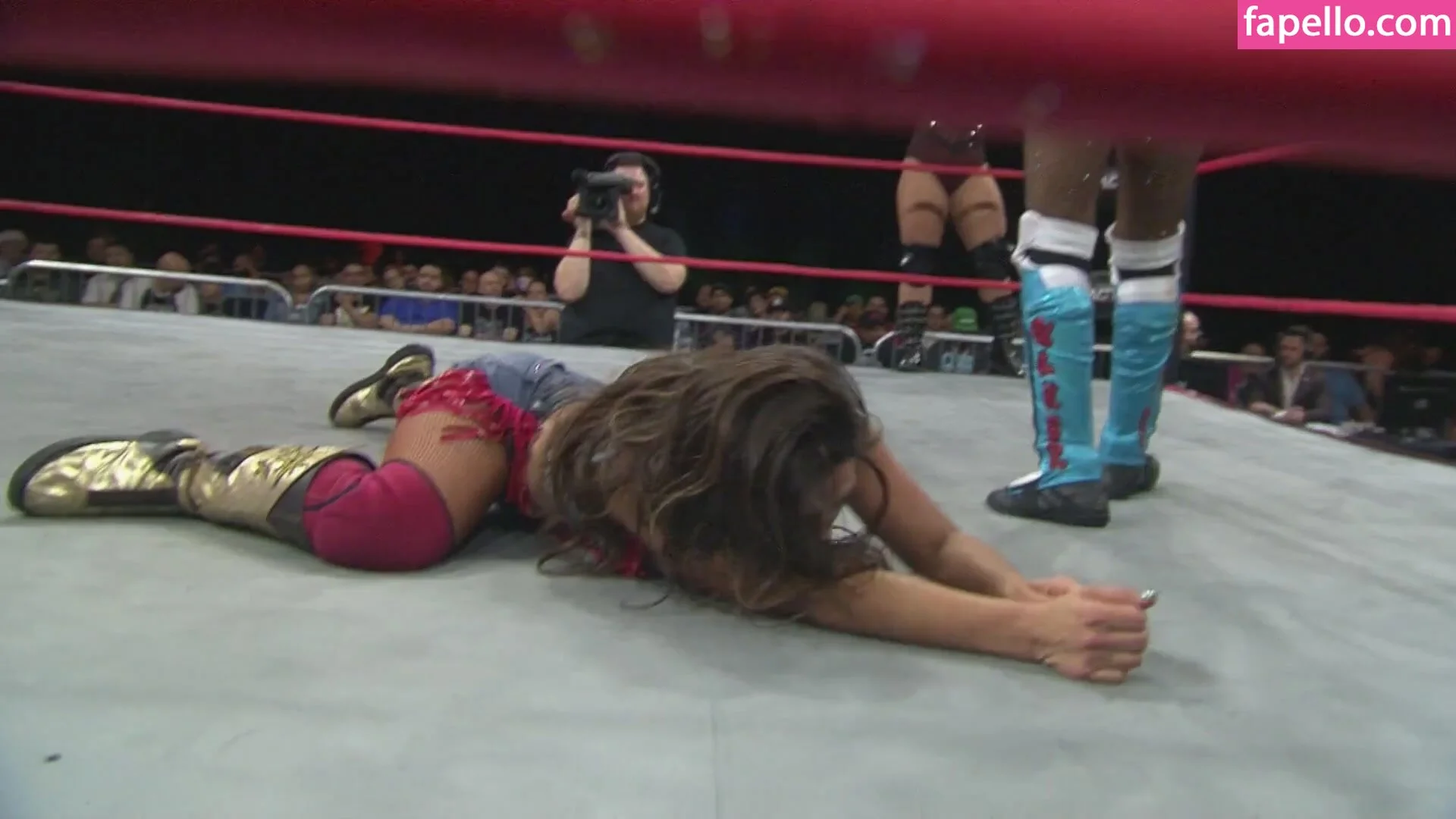 Mickie James Onlyfans Photo Gallery 