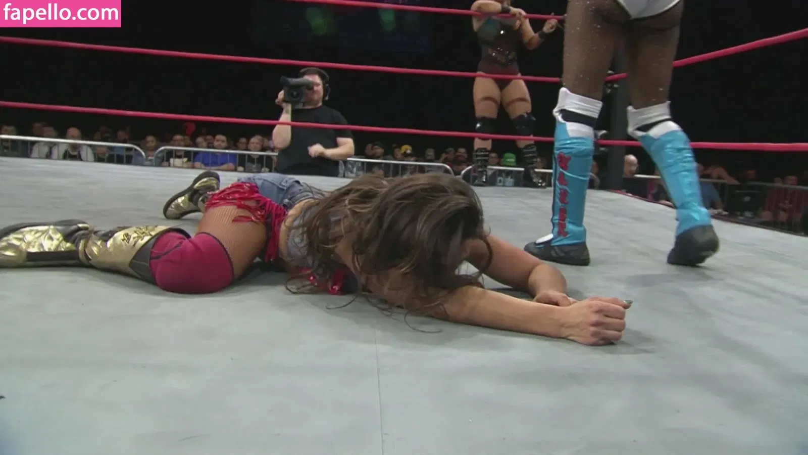 Mickie James Onlyfans Photo Gallery 