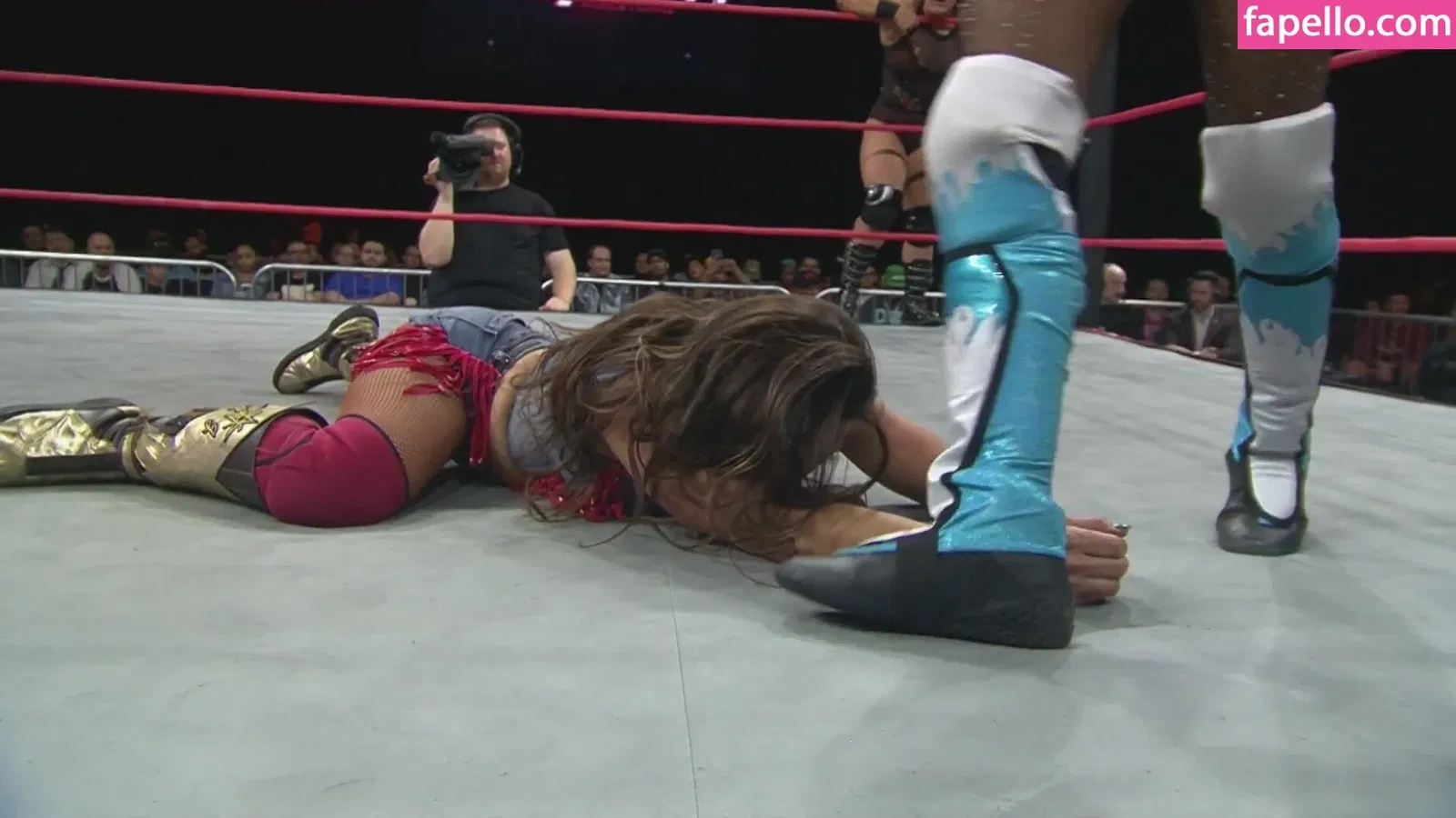 Mickie James Onlyfans Photo Gallery 