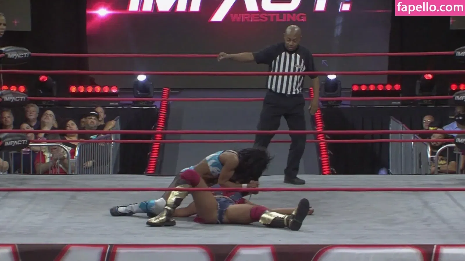 Mickie James Onlyfans Photo Gallery 