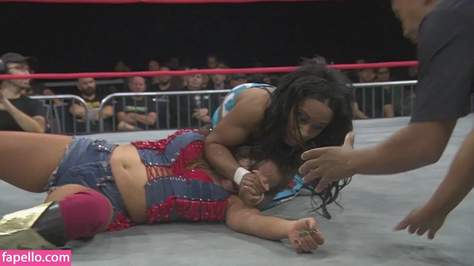 Mickie James Onlyfans Photo Gallery 