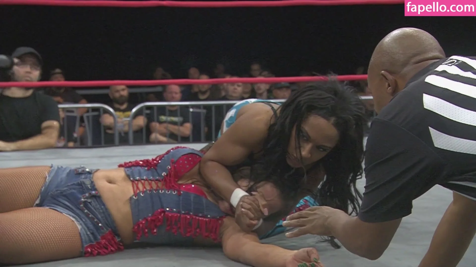 Mickie James Onlyfans Photo Gallery 