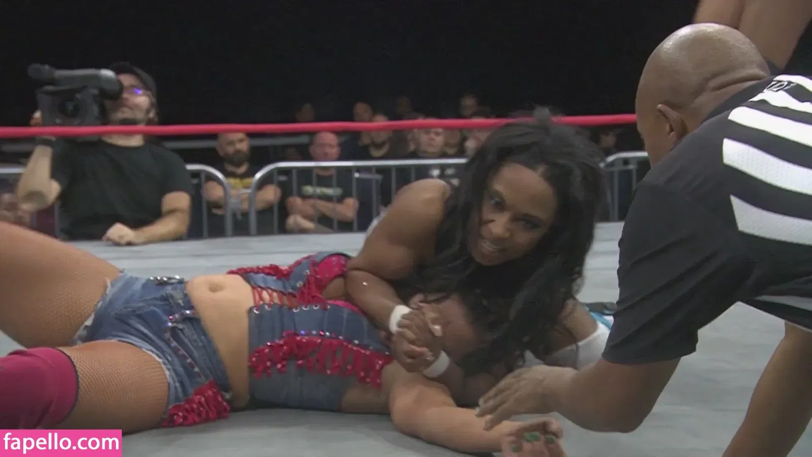 Mickie James Onlyfans Photo Gallery 