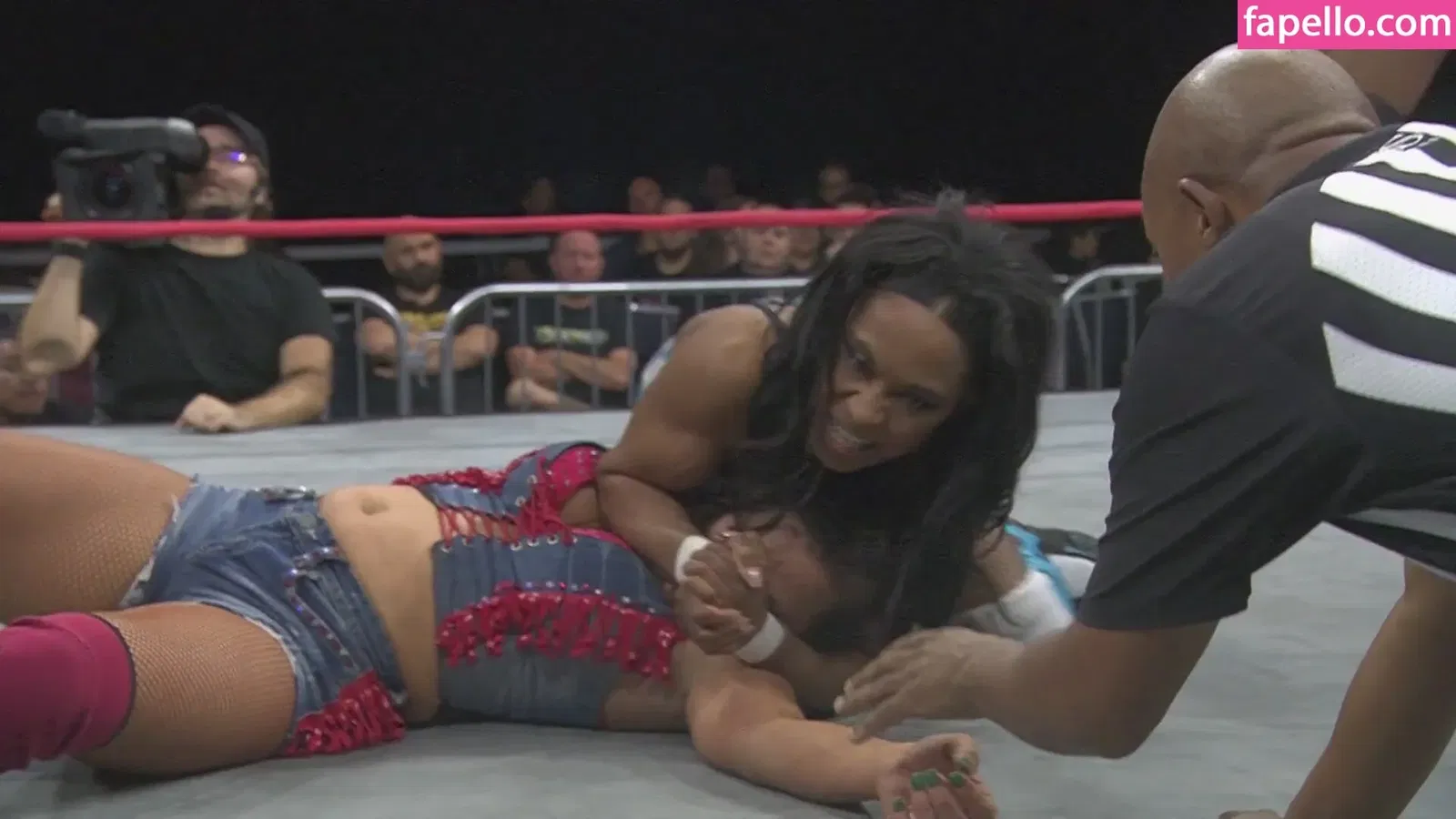 Mickie James Onlyfans Photo Gallery 