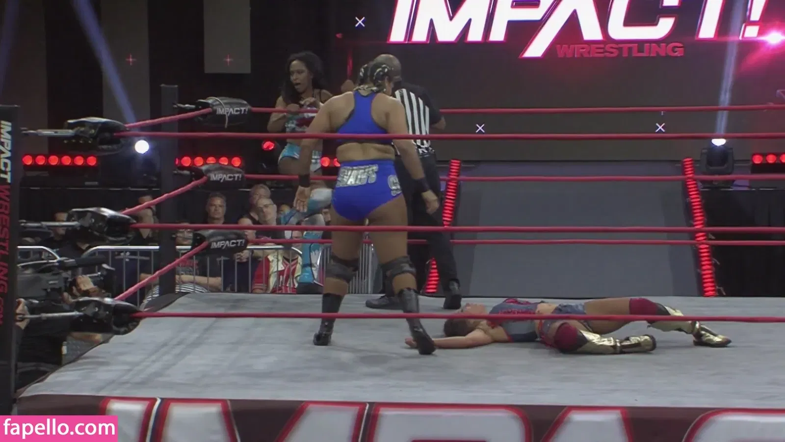 Mickie James Onlyfans Photo Gallery 