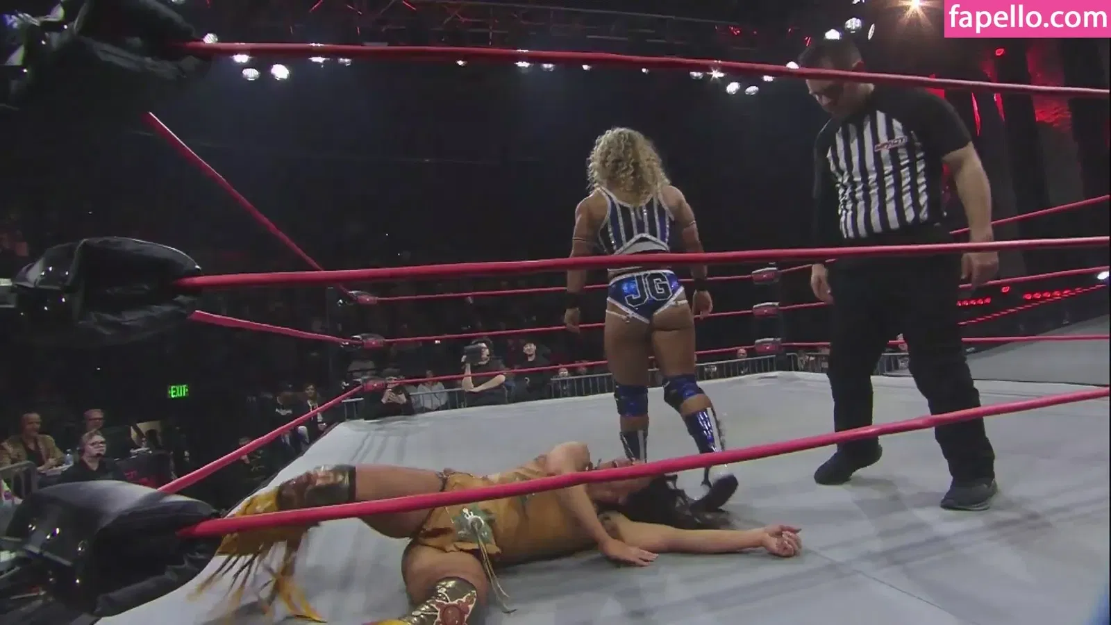 Mickie James Onlyfans Photo Gallery 