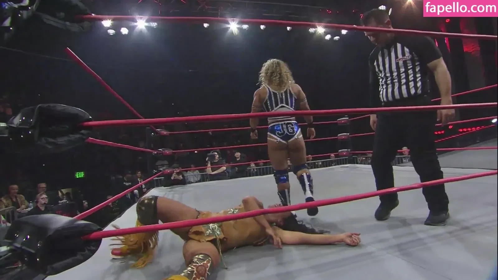 Mickie James Onlyfans Photo Gallery 