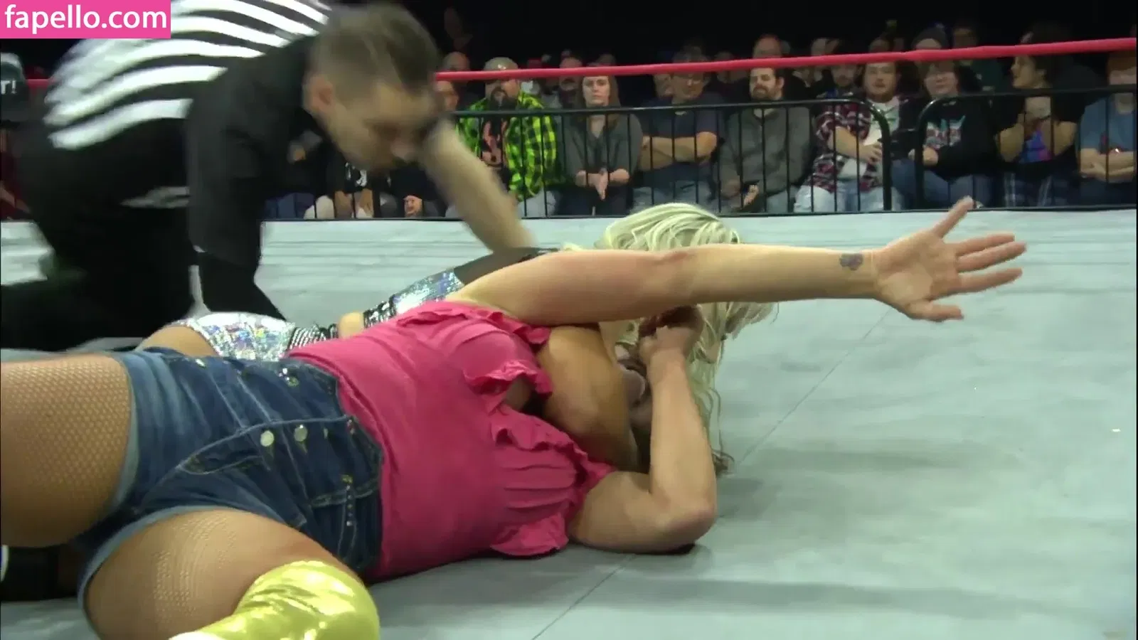 Mickie James Onlyfans Photo Gallery 