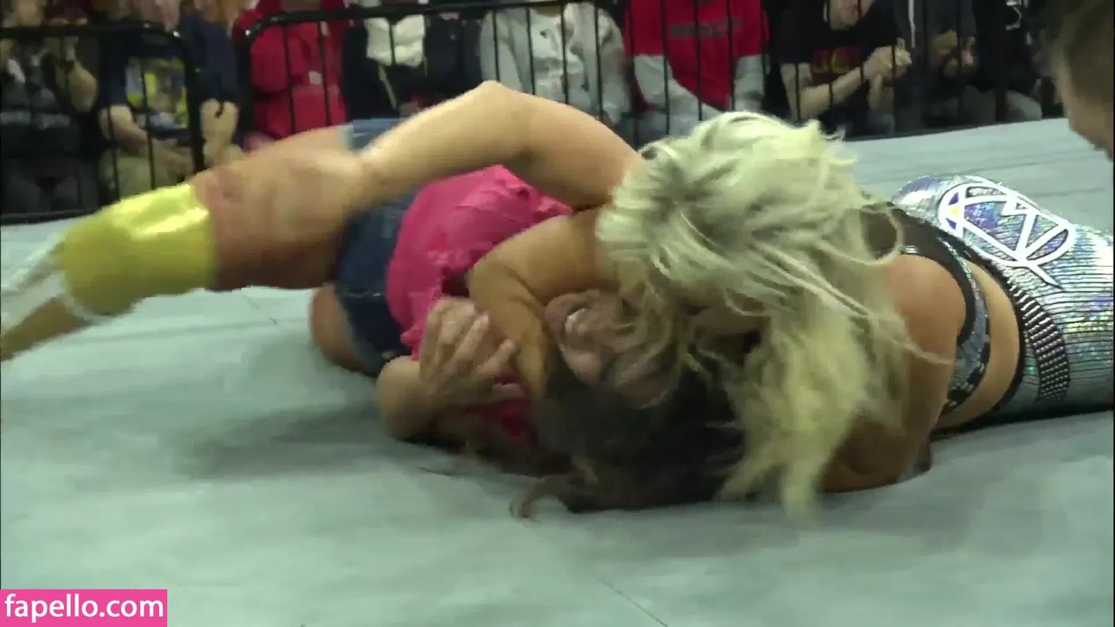 Mickie James Onlyfans Photo Gallery 