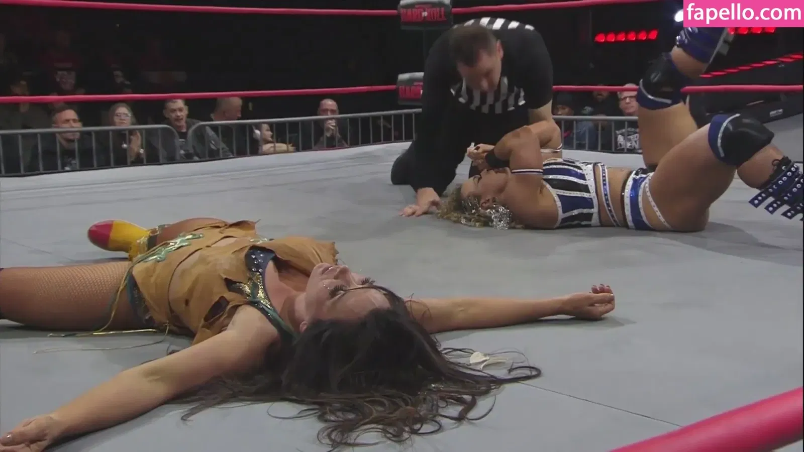 Mickie James Onlyfans Photo Gallery 