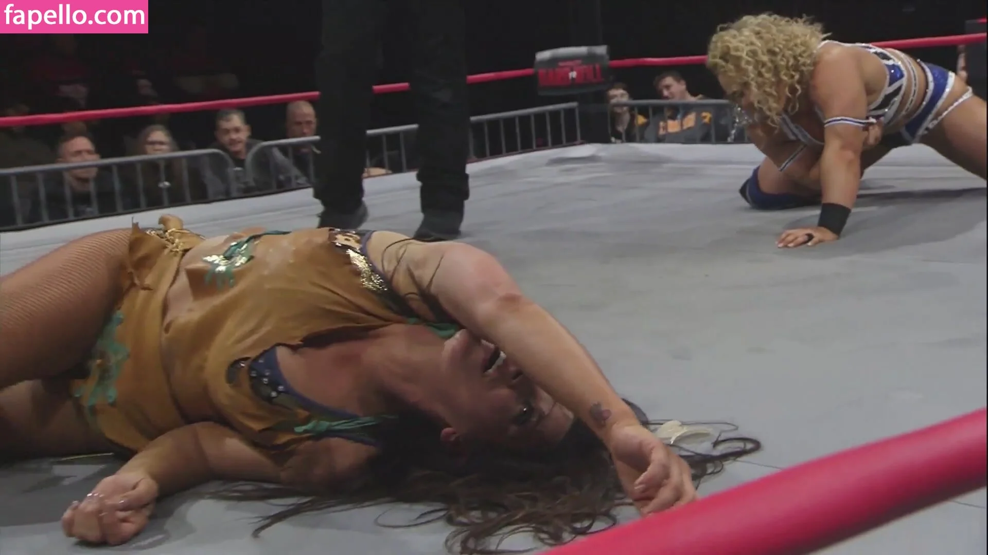 Mickie James Onlyfans Photo Gallery 