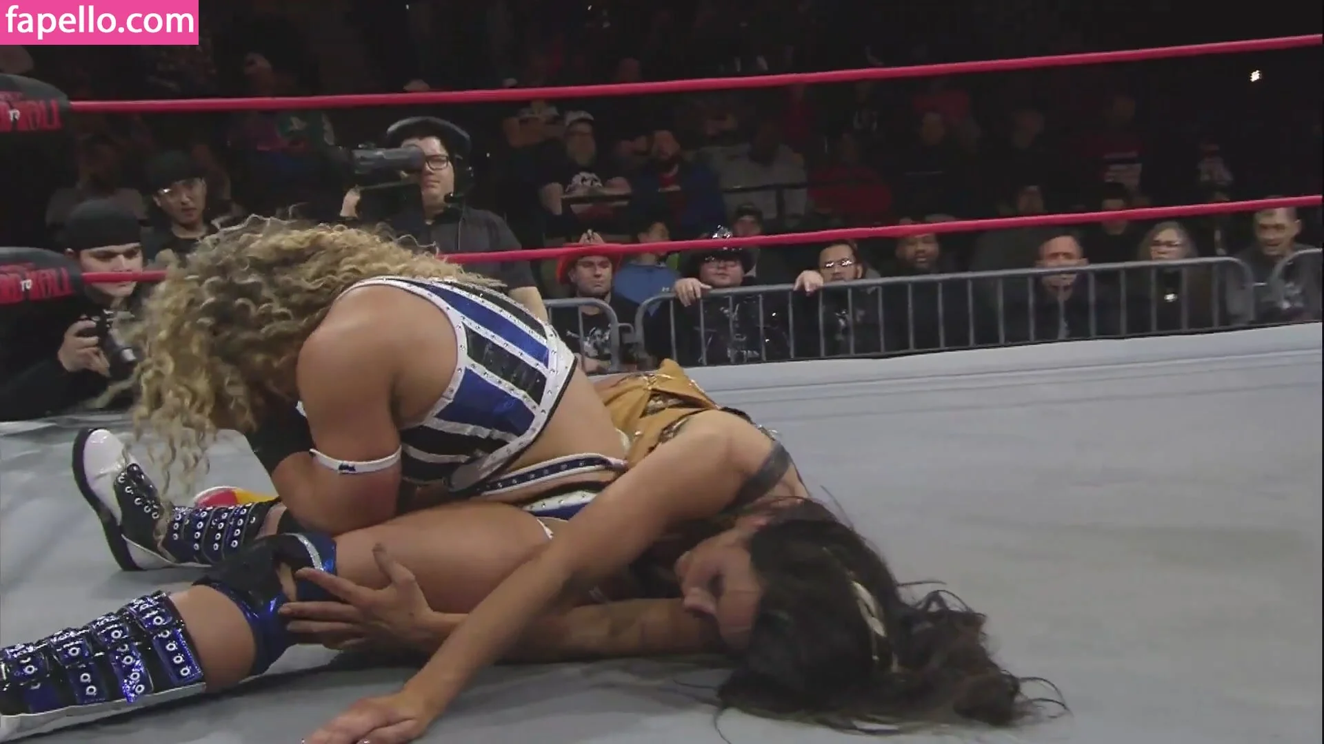 Mickie James Onlyfans Photo Gallery 