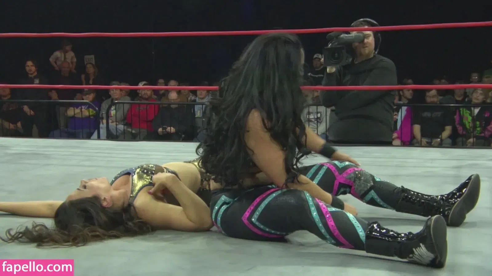 Mickie James Onlyfans Photo Gallery 