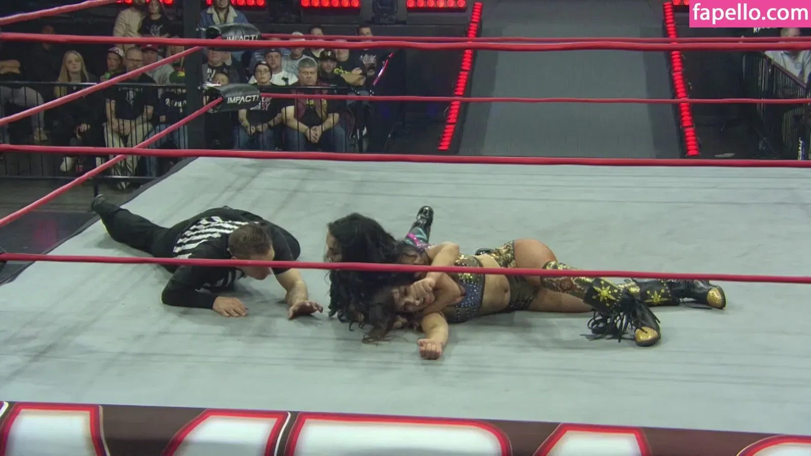 Mickie James Onlyfans Photo Gallery 