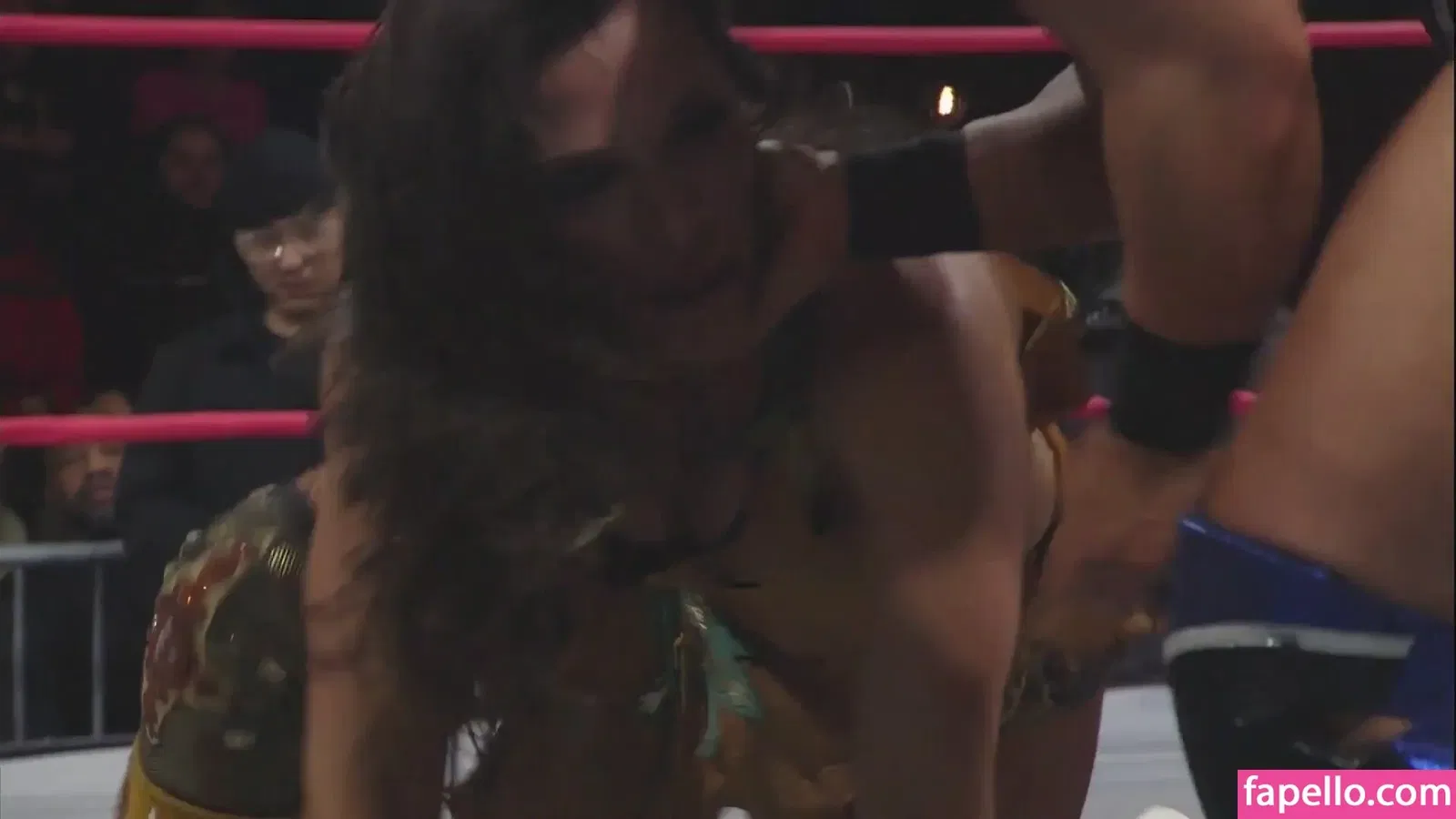 Mickie James Onlyfans Photo Gallery 