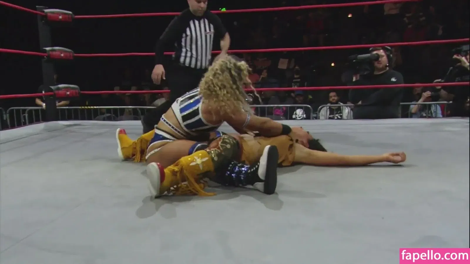 Mickie James Onlyfans Photo Gallery 