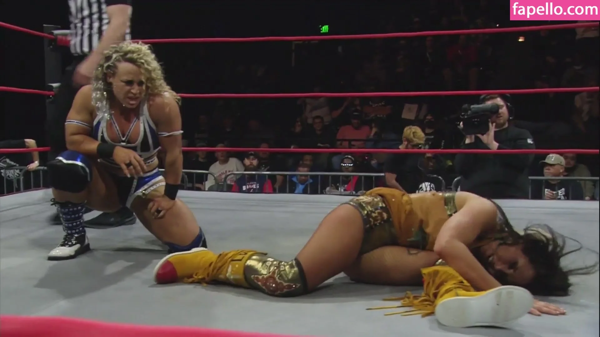 Mickie James Onlyfans Photo Gallery 