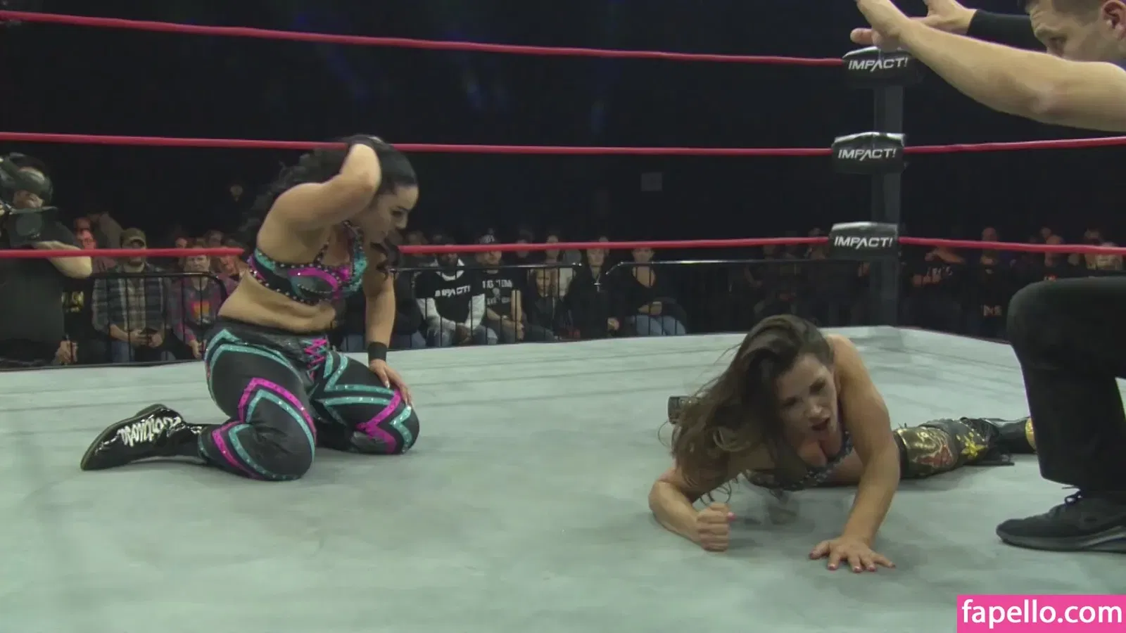 Mickie James Onlyfans Photo Gallery 