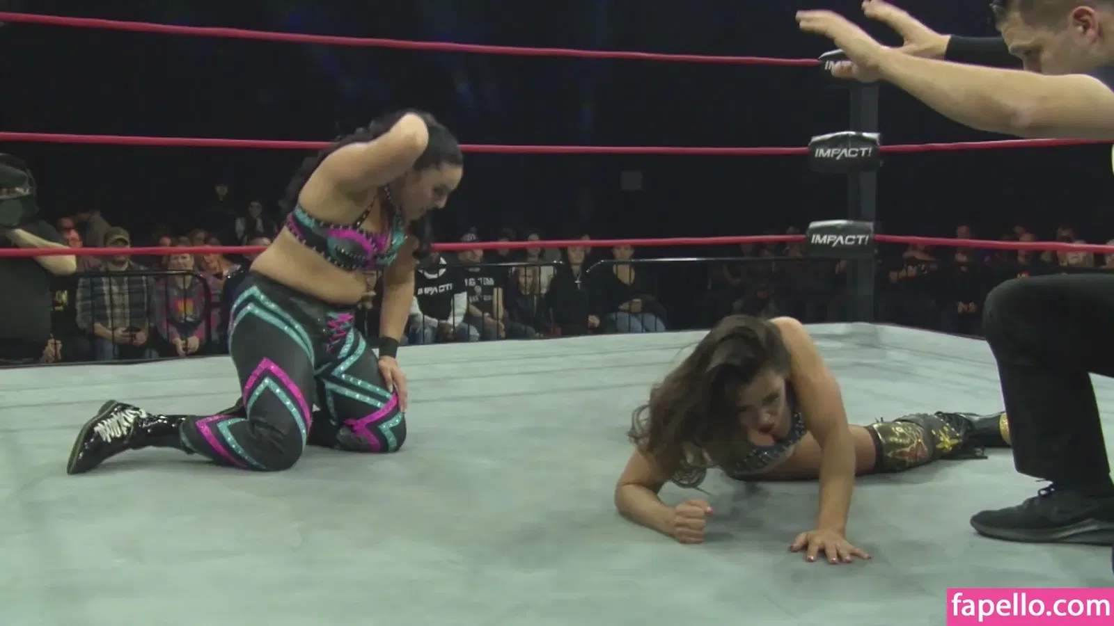 Mickie James Onlyfans Photo Gallery 