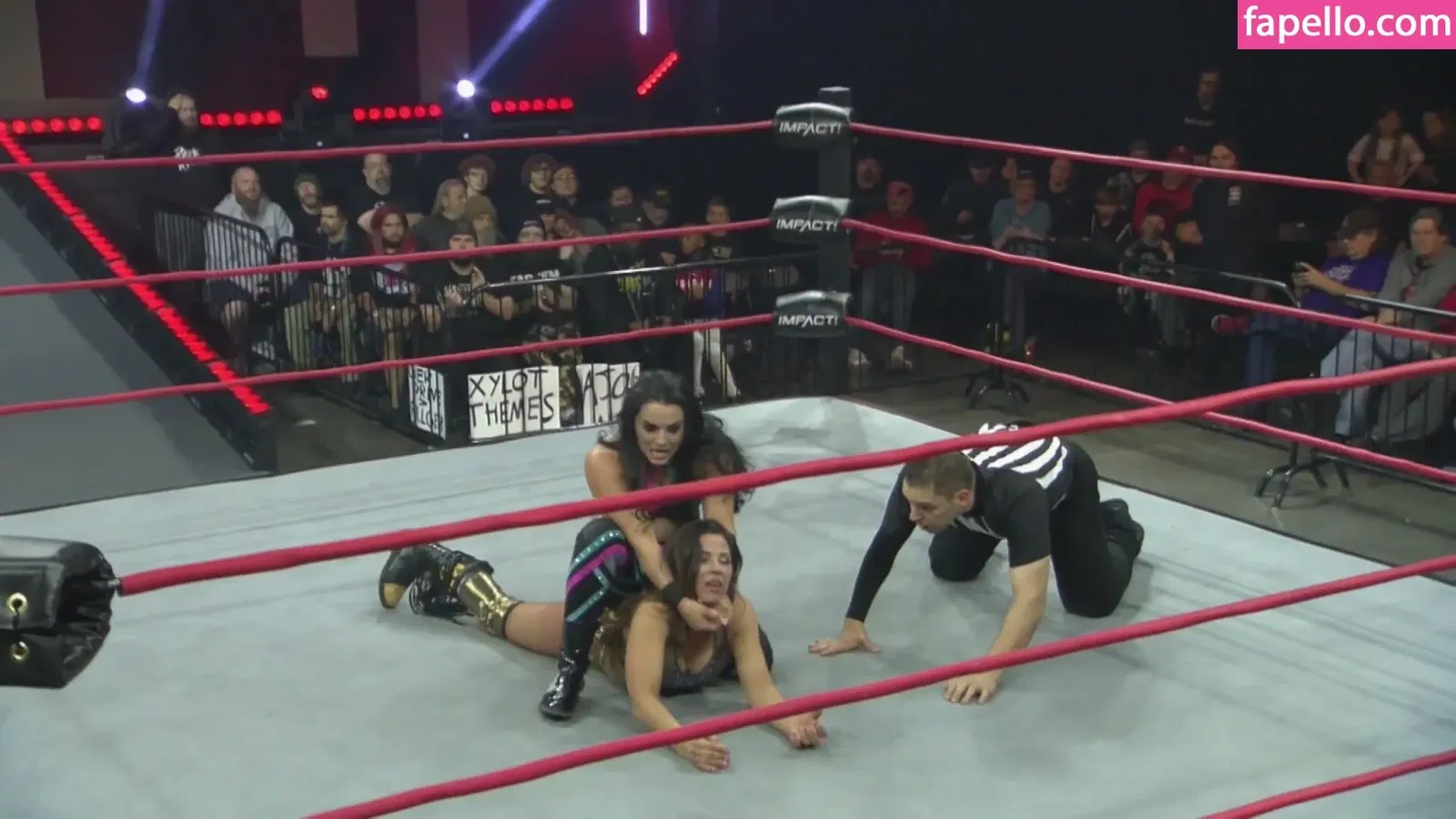 Mickie James Onlyfans Photo Gallery 