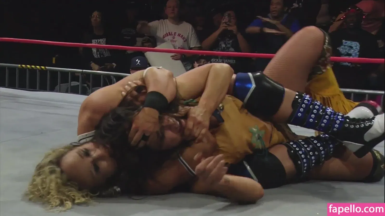 Mickie James Onlyfans Photo Gallery 