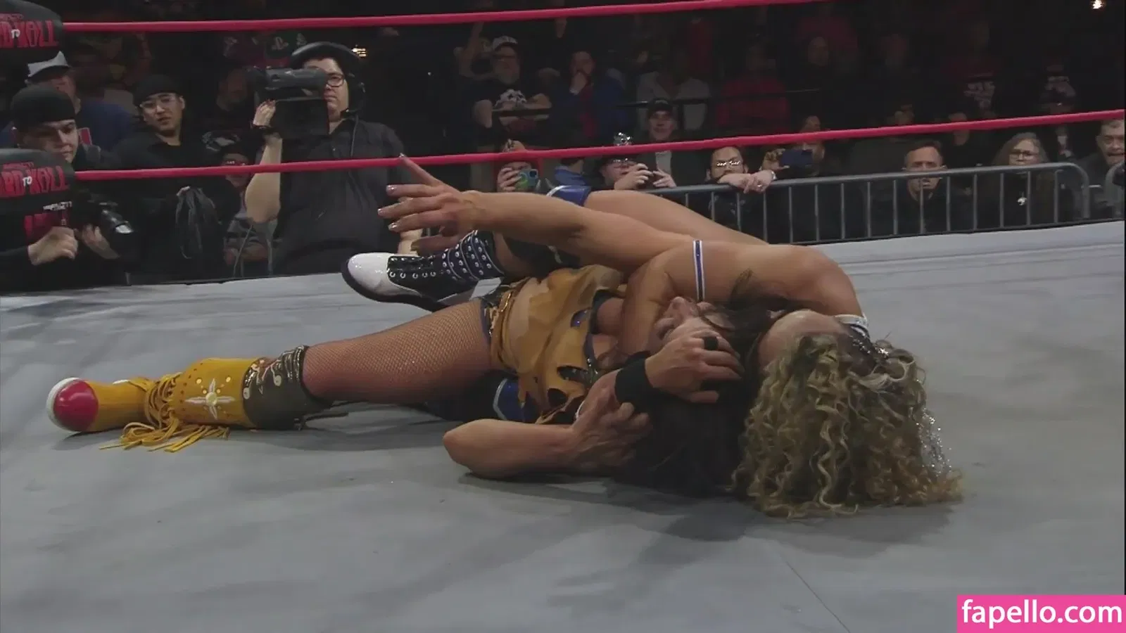 Mickie James Onlyfans Photo Gallery 