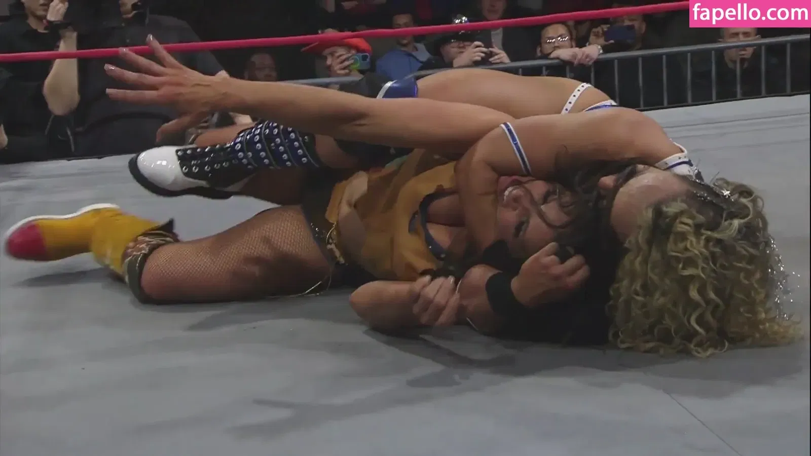 Mickie James Onlyfans Photo Gallery 