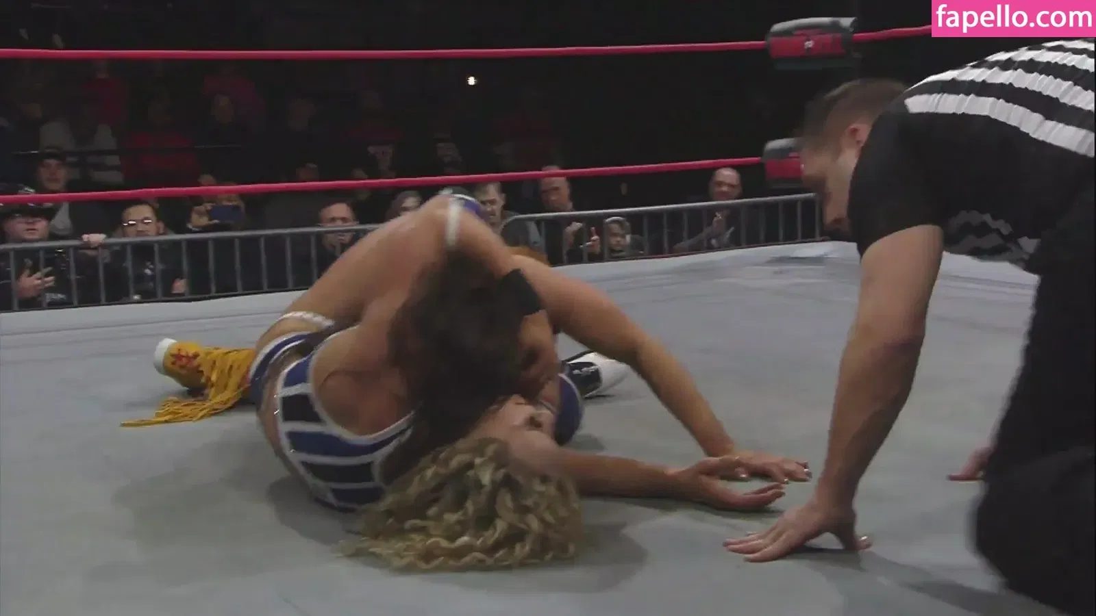 Mickie James Onlyfans Photo Gallery 