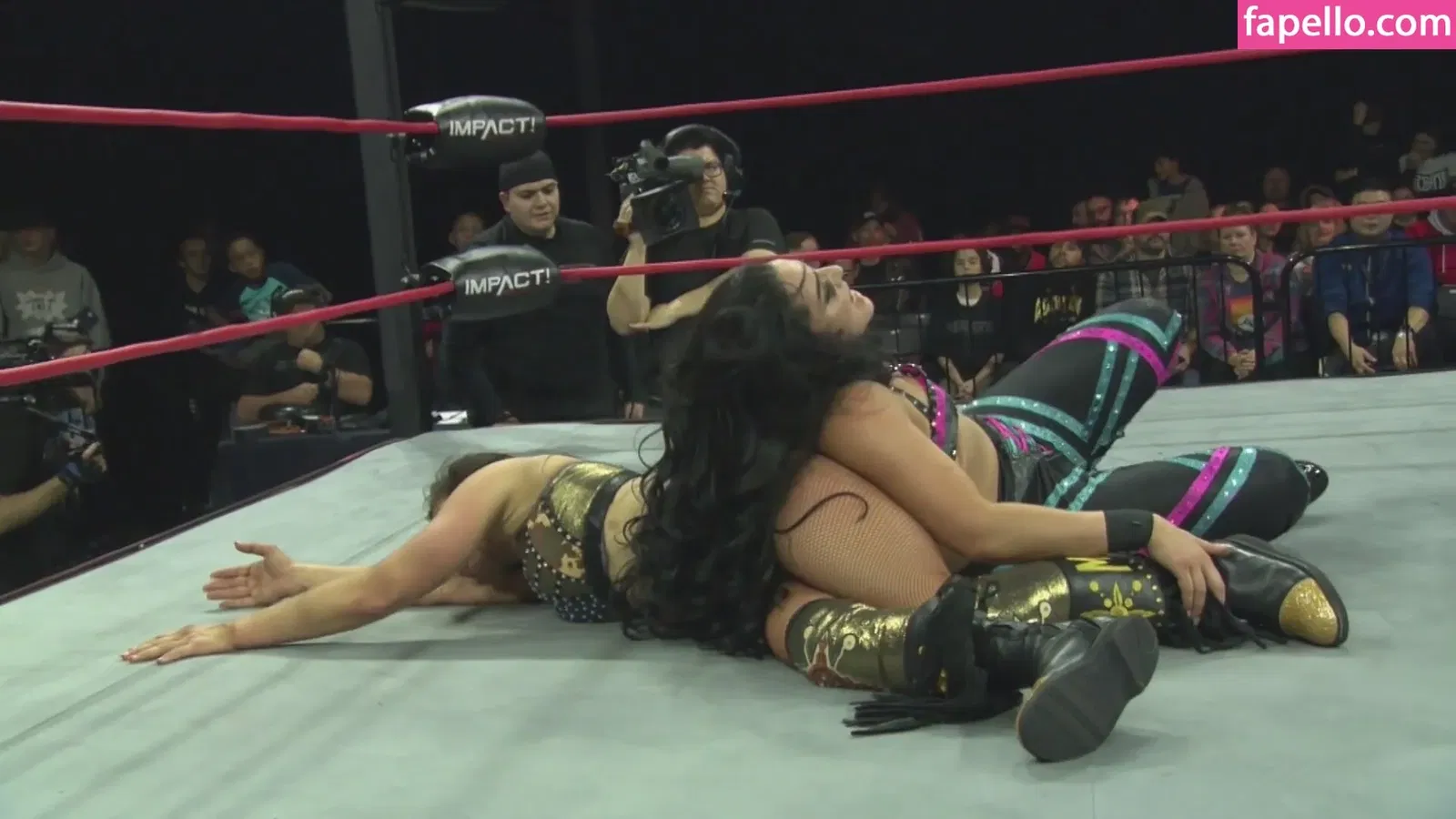 Mickie James Onlyfans Photo Gallery 