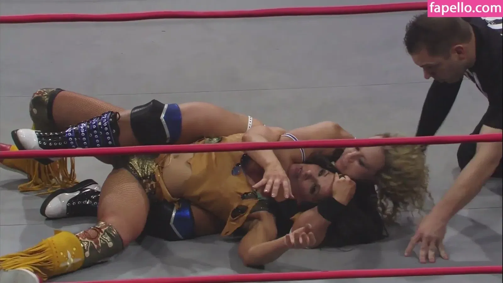 Mickie James Onlyfans Photo Gallery 