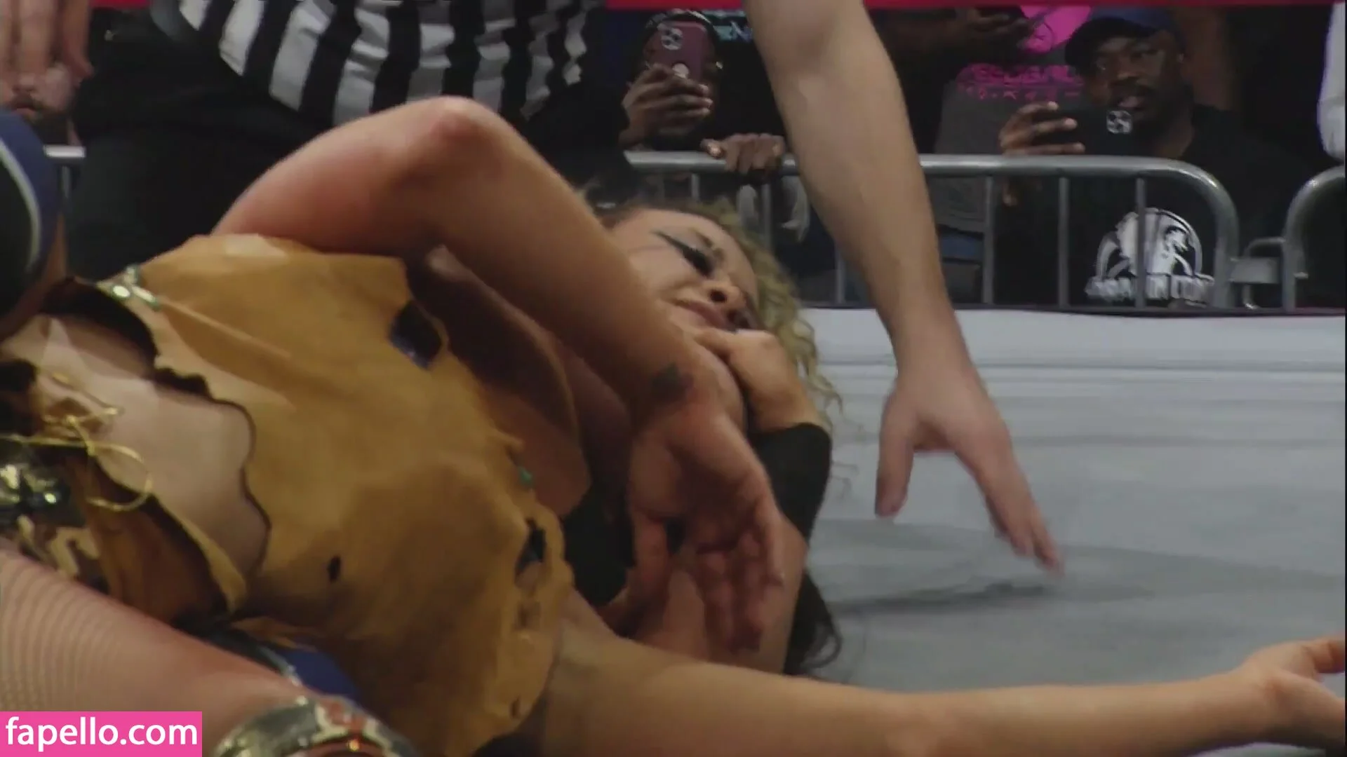 Mickie James Onlyfans Photo Gallery 