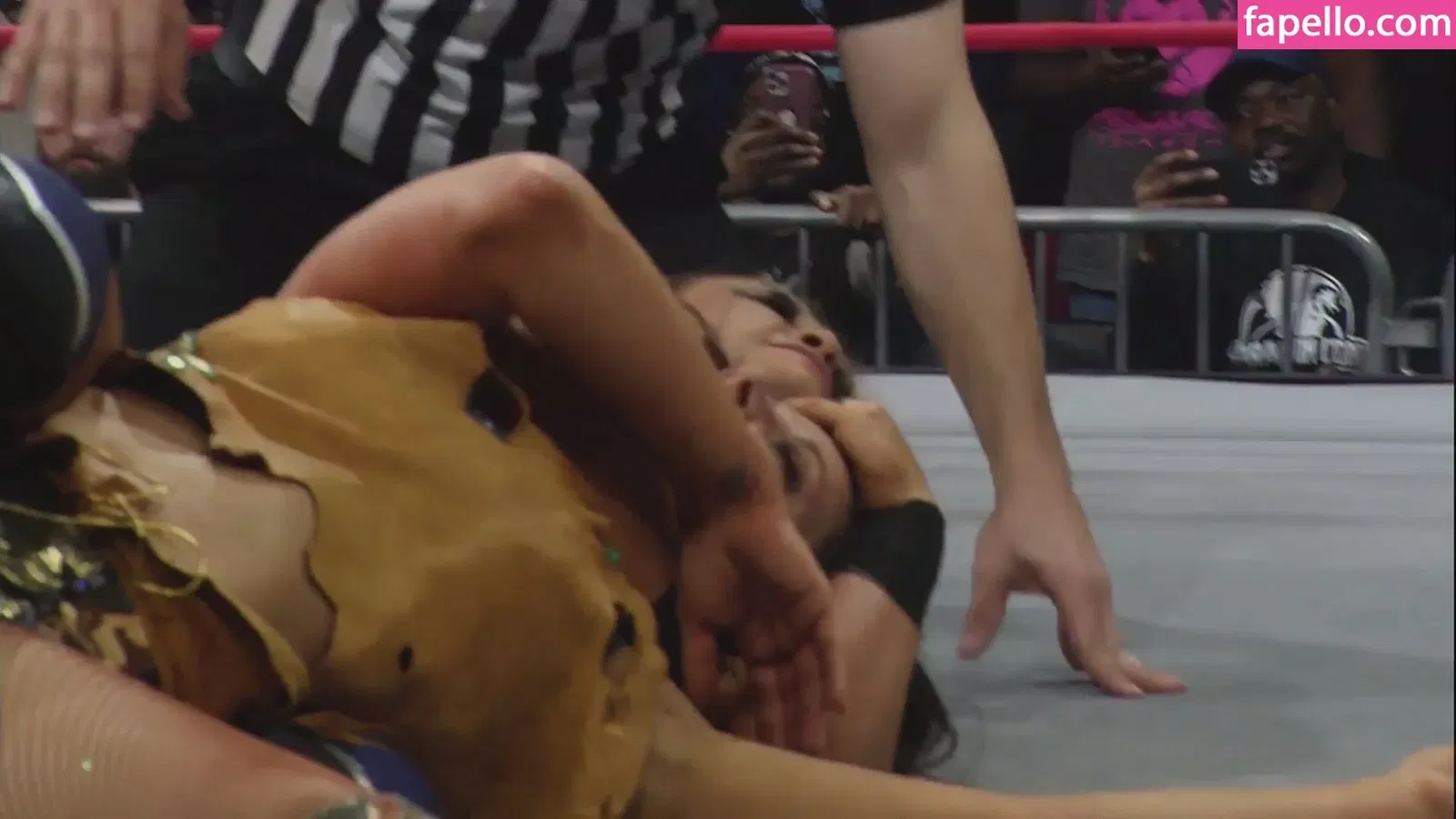 Mickie James Onlyfans Photo Gallery 