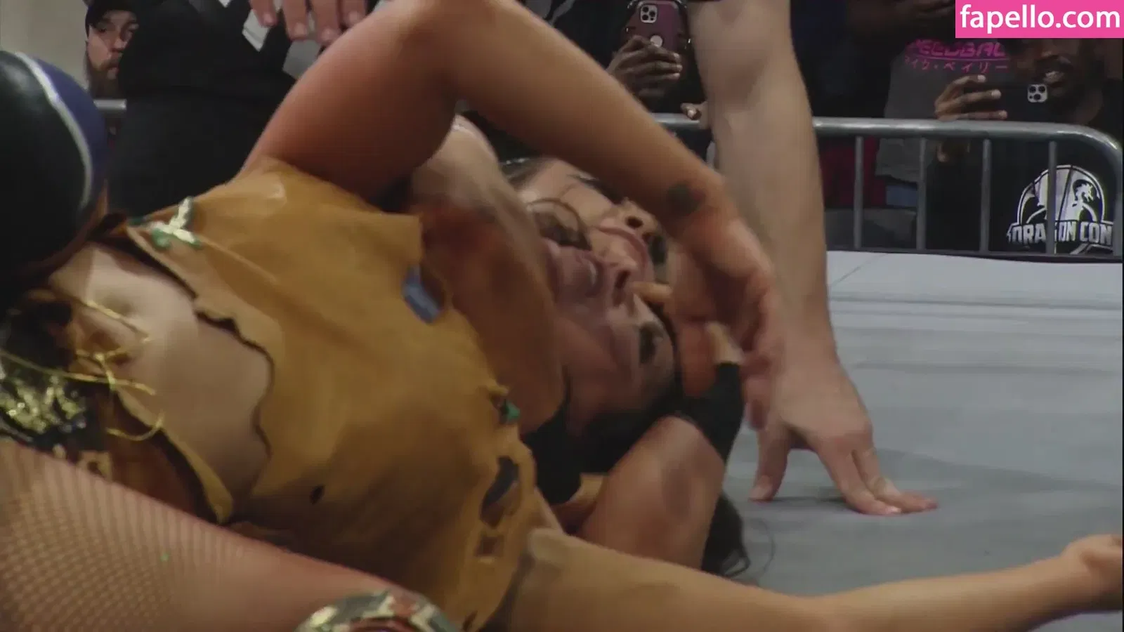 Mickie James Onlyfans Photo Gallery 