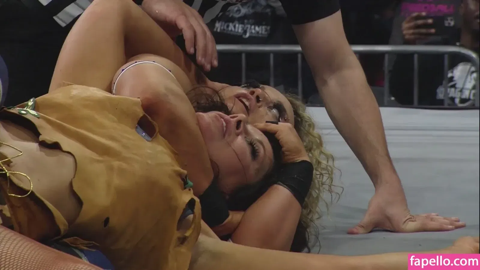 Mickie James Onlyfans Photo Gallery 