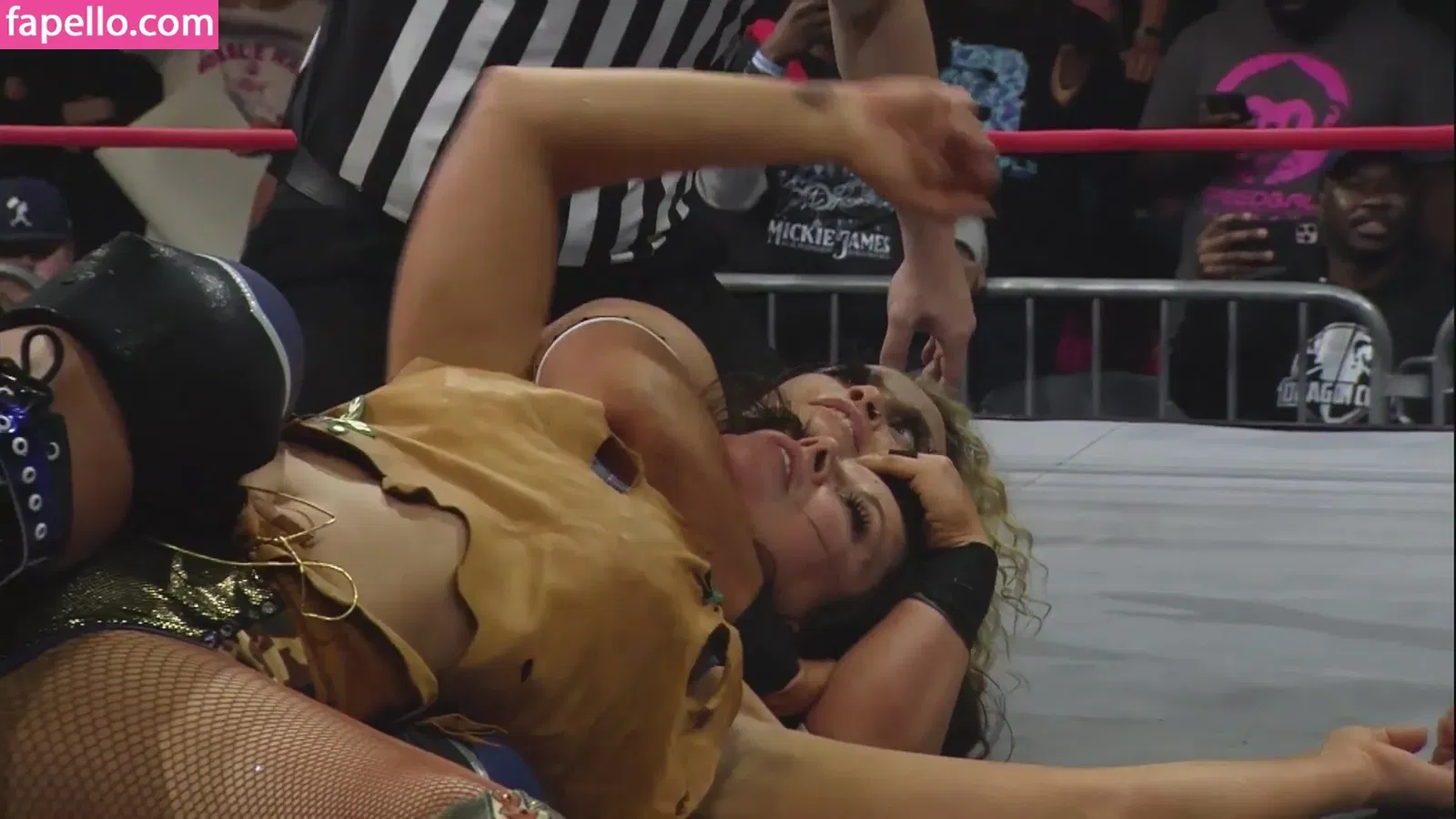 Mickie James Onlyfans Photo Gallery 