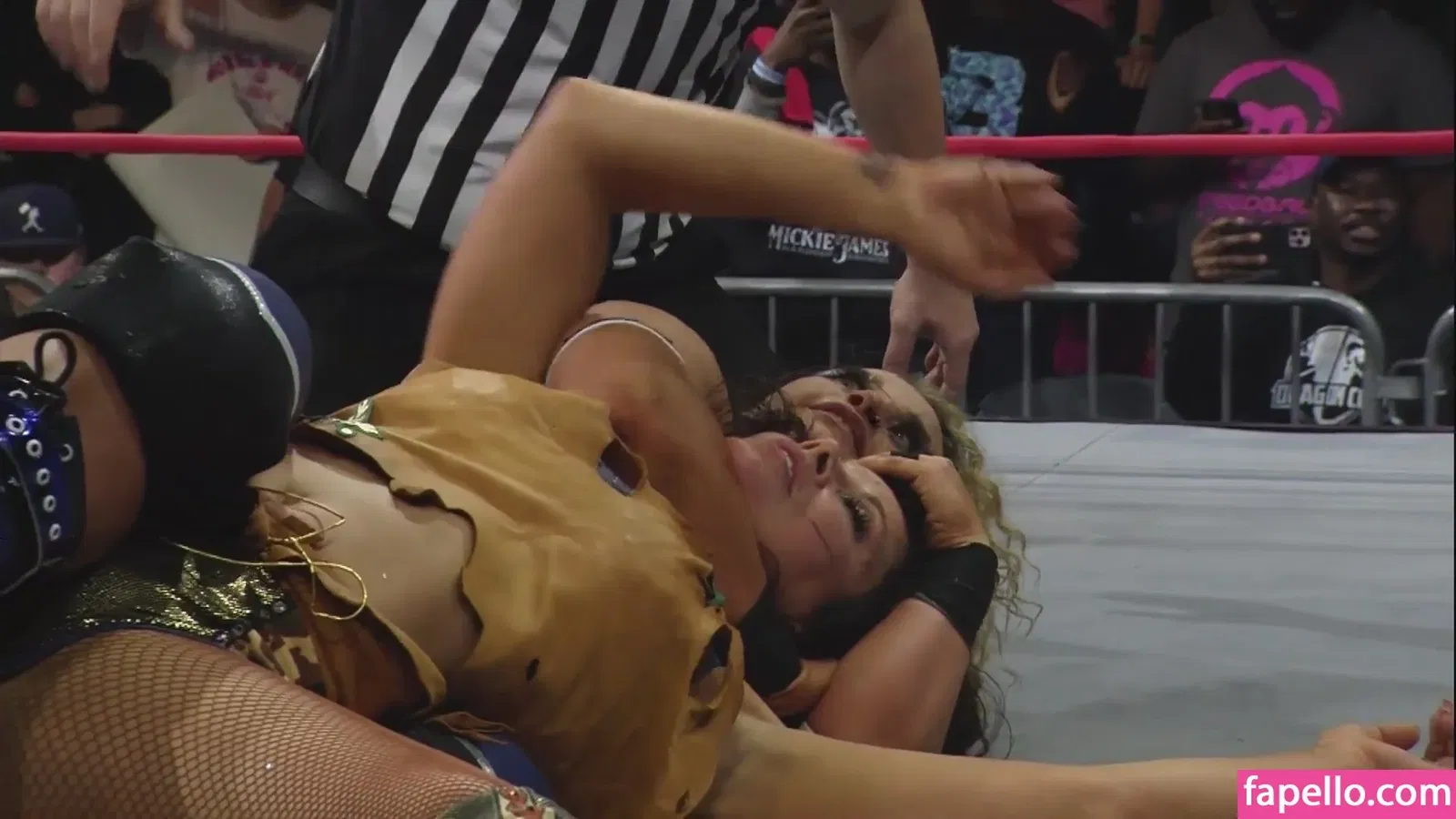 Mickie James Onlyfans Photo Gallery 