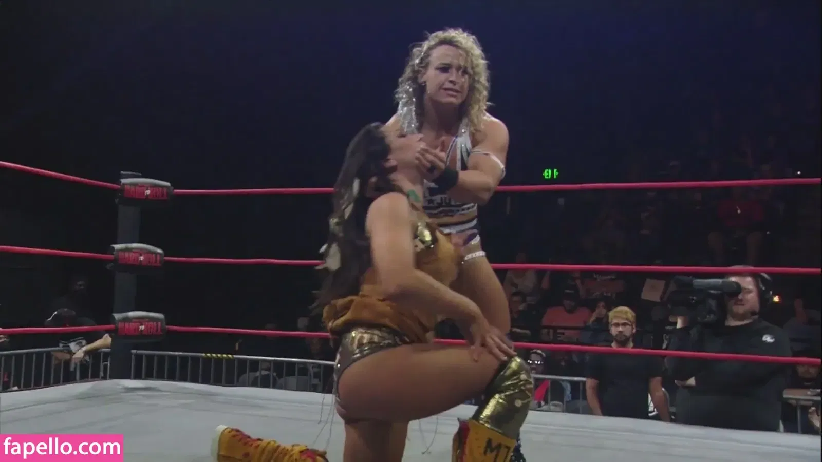 Mickie James Onlyfans Photo Gallery 