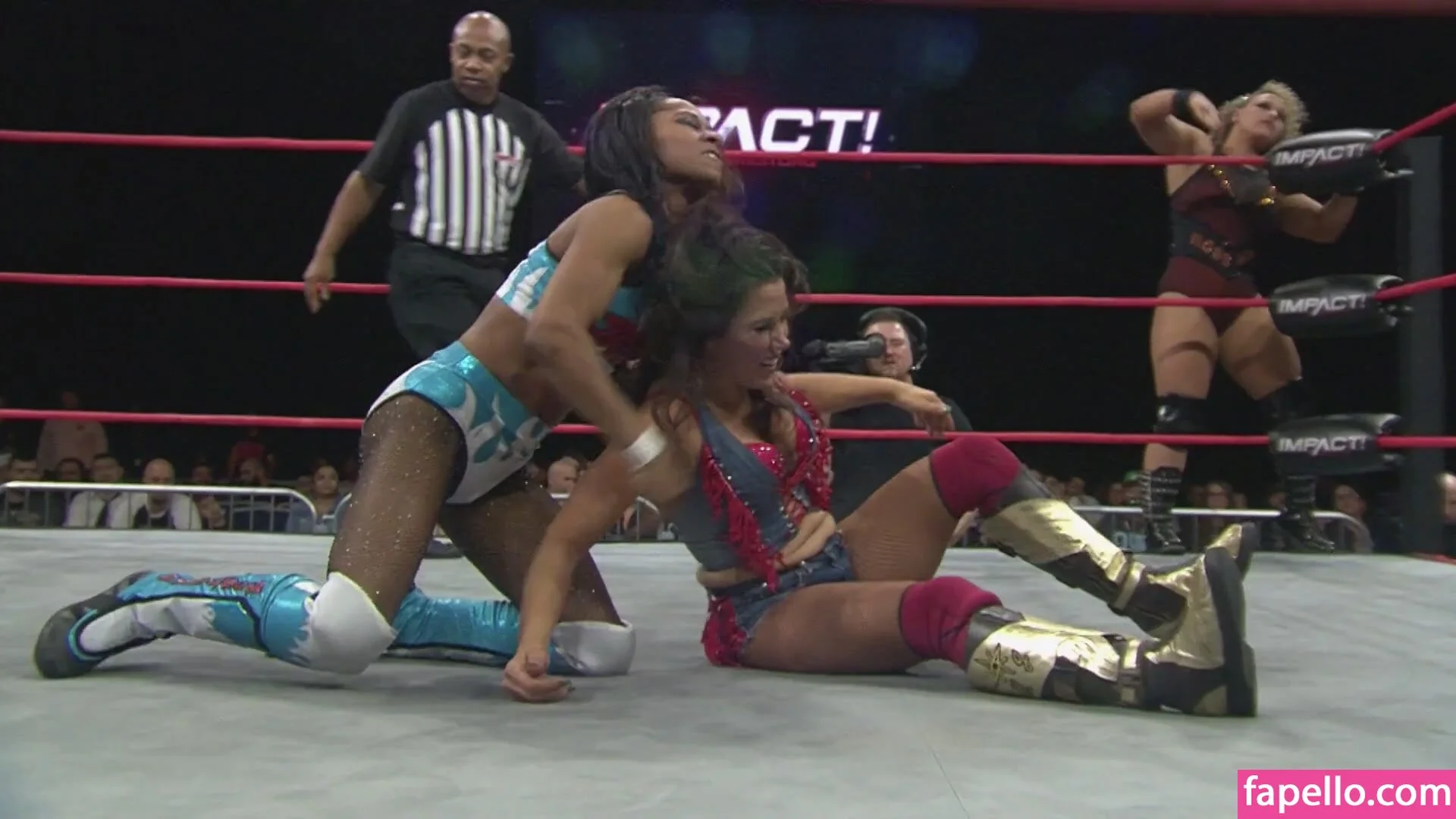 Mickie James Onlyfans Photo Gallery 