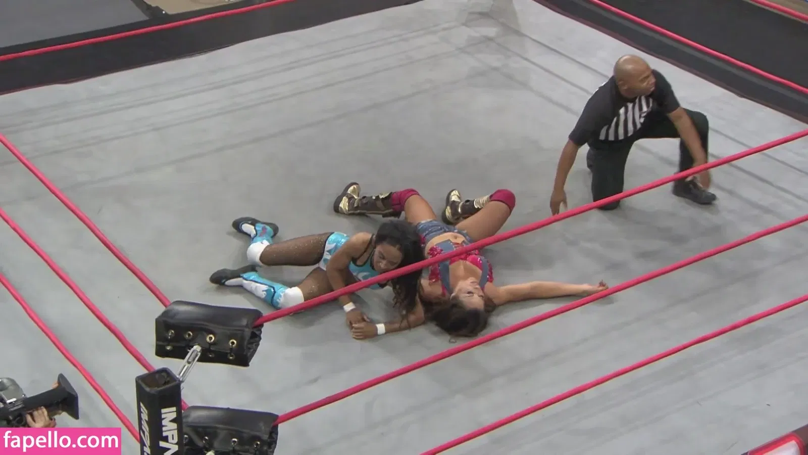 Mickie James Onlyfans Photo Gallery 